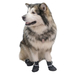 ЧИП Обувь для собак №7, черная (пара) – интернет-магазин Ле’Муррр