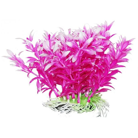 УЮТ Растение аквариумное Людвигия фиолетовая, 12 см – интернет-магазин Ле’Муррр