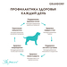 GRANDORF Сухой корм для взрослых собак всех пород (индейка с рисом) – интернет-магазин Ле’Муррр