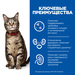 Сухой диетический корм для кошек Hill's Prescription Diet c/d Multicare Urinary Care при профилактике мочекаменной болезни (мкб) – интернет-магазин Ле’Муррр