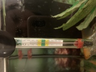 Пользовательская фотография №1 к отзыву на JBL Aquarium Thermometer Float Термометр для аквариума